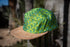 Lime Green Hat